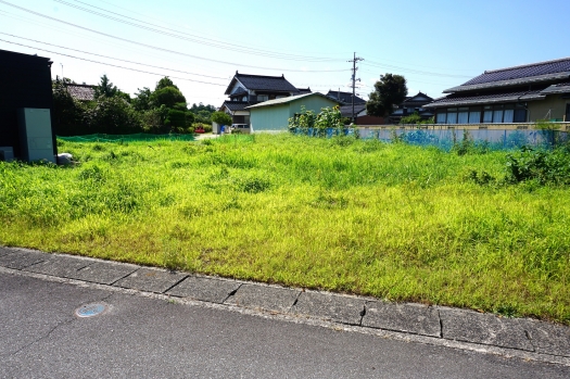 現地写真