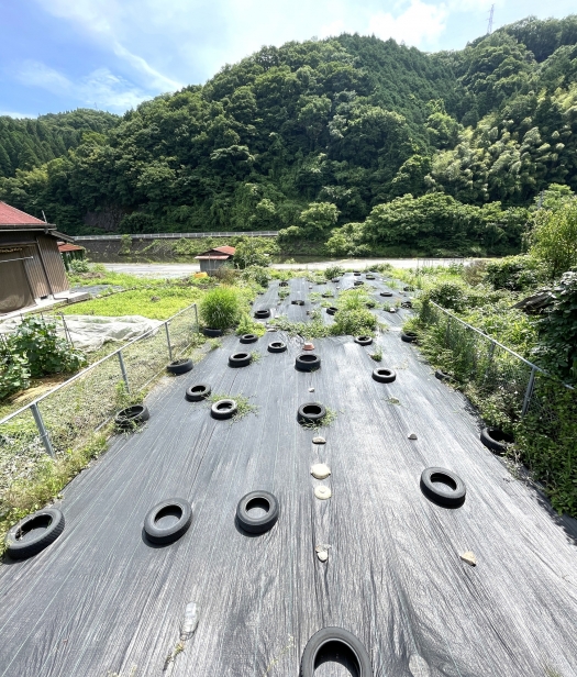 敷地裏