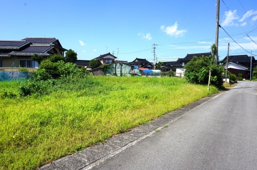 現地写真
