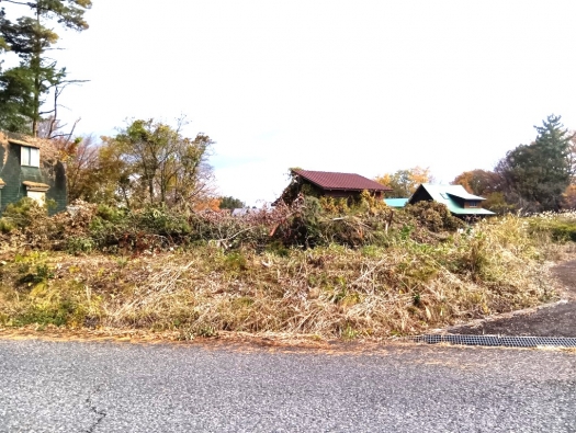 現地